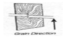 Panels - Skin Panel (16 - BLS)